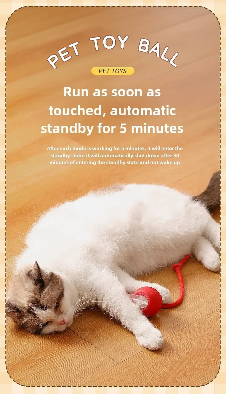 Brinquedo Interativo Bola Automática para Pets