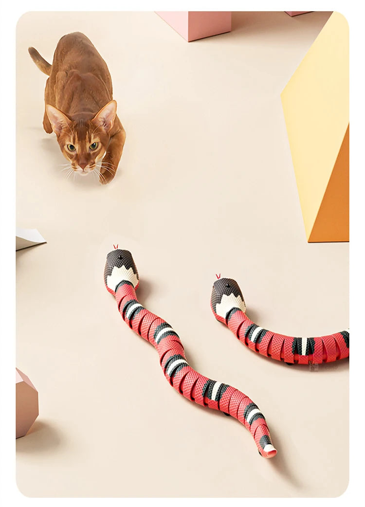 Brinquedo Cobra Elétrica USB para Gatos