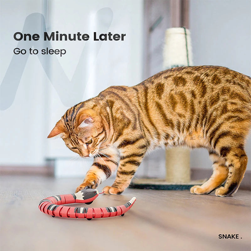 Brinquedo Cobra Elétrica USB para Gatos