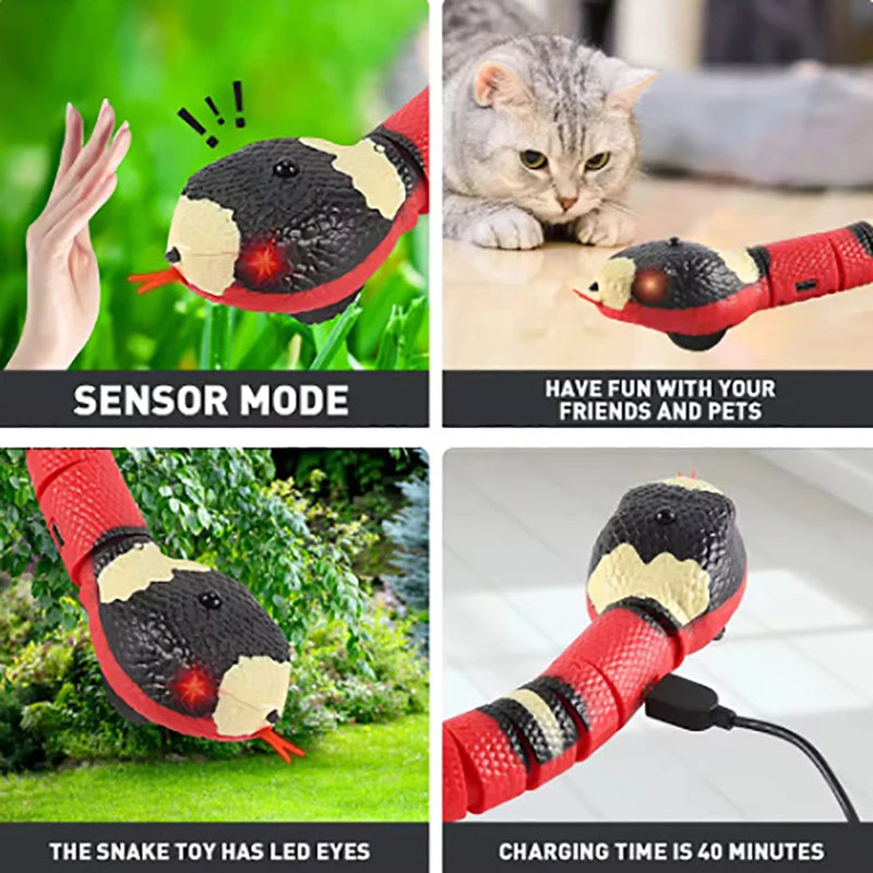 Brinquedo Cobra Elétrica USB para Gatos