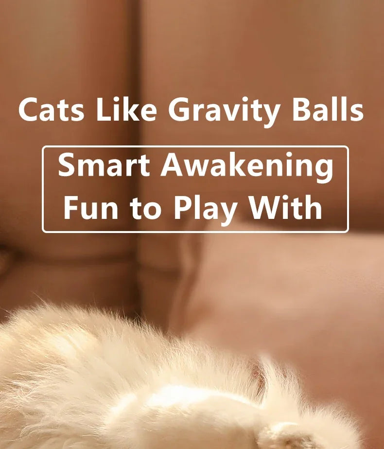 Brinquedo Interativo Bola USB para Gatos