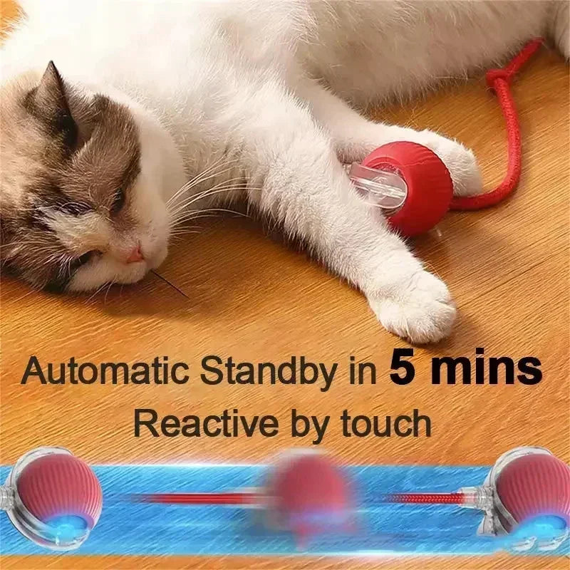 Brinquedo Interativo Bola Automática para Pets