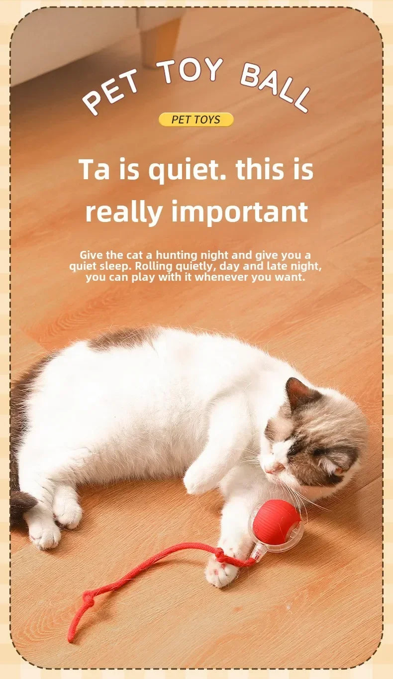 Brinquedo Interativo Bola Automática para Pets