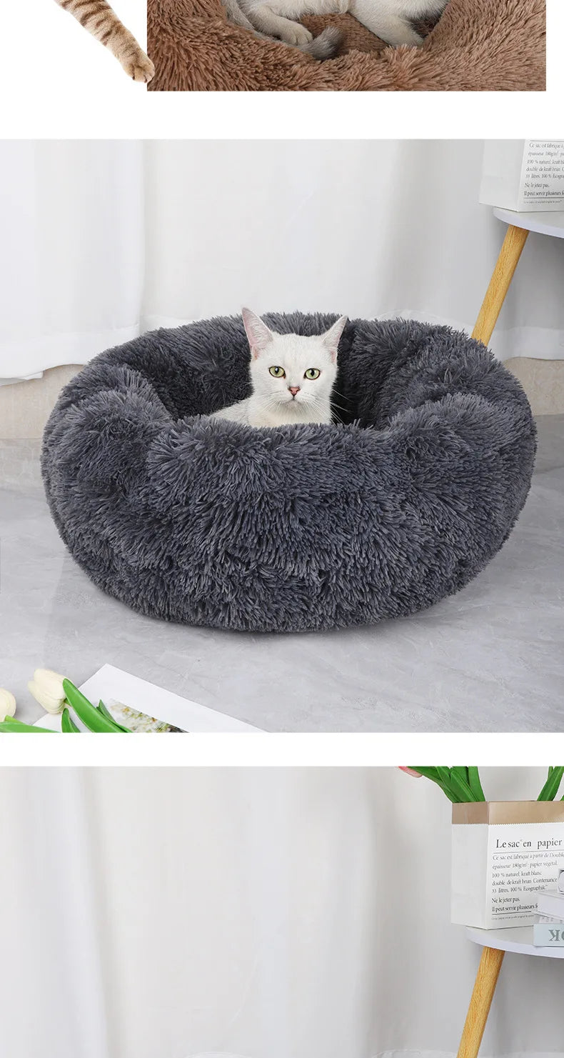 Cama Pet Formato Donut