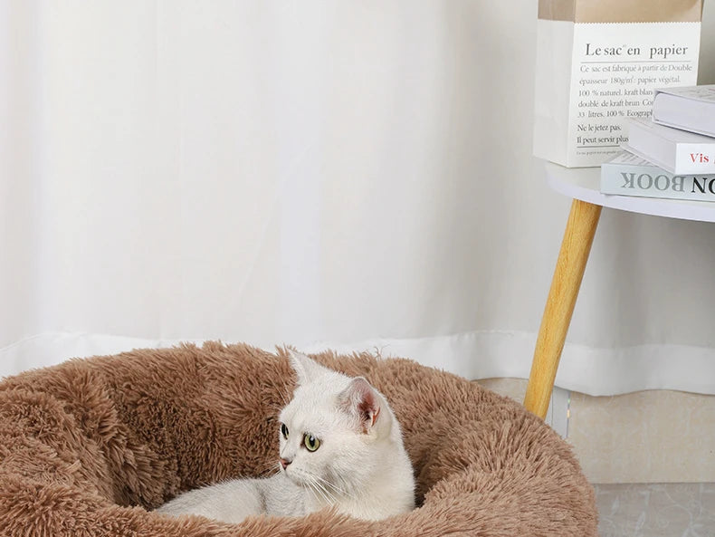Cama Pet Formato Donut