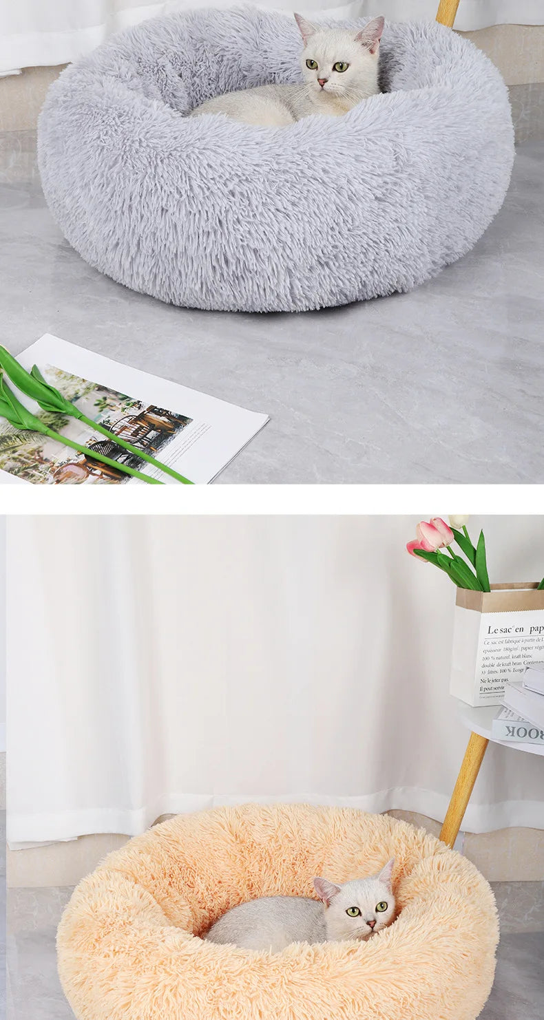 Cama Pet Formato Donut