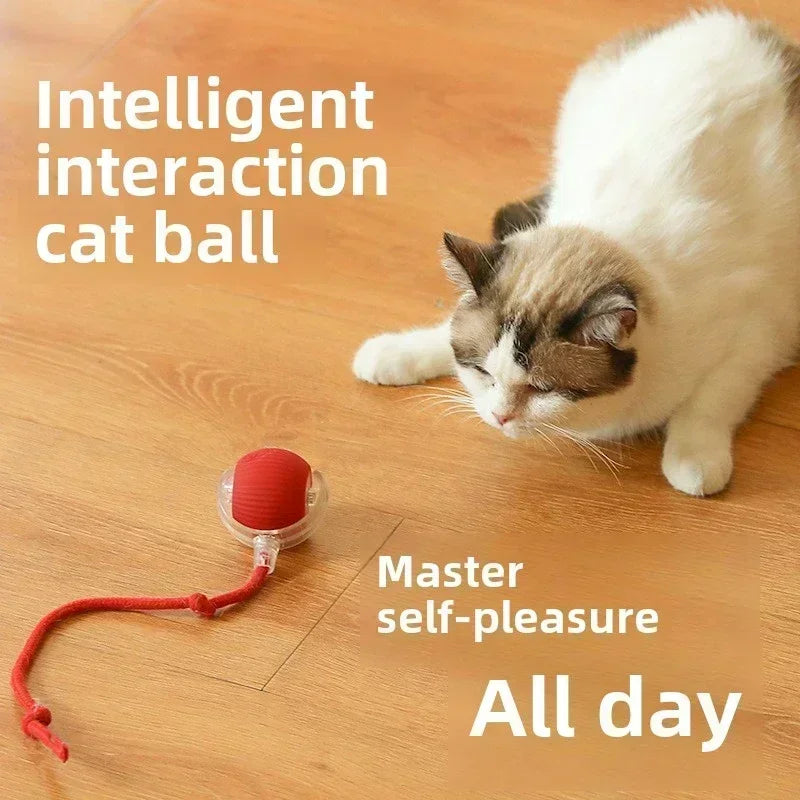 Brinquedo Interativo Bola Automática para Pets