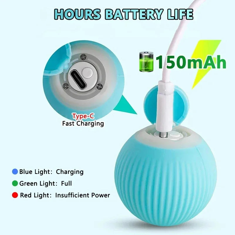 Brinquedo Interativo Bola USB para Gatos