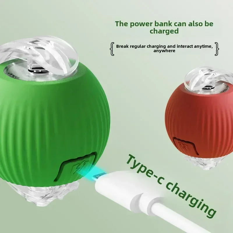 Brinquedo Interativo Bola Automática para Pets