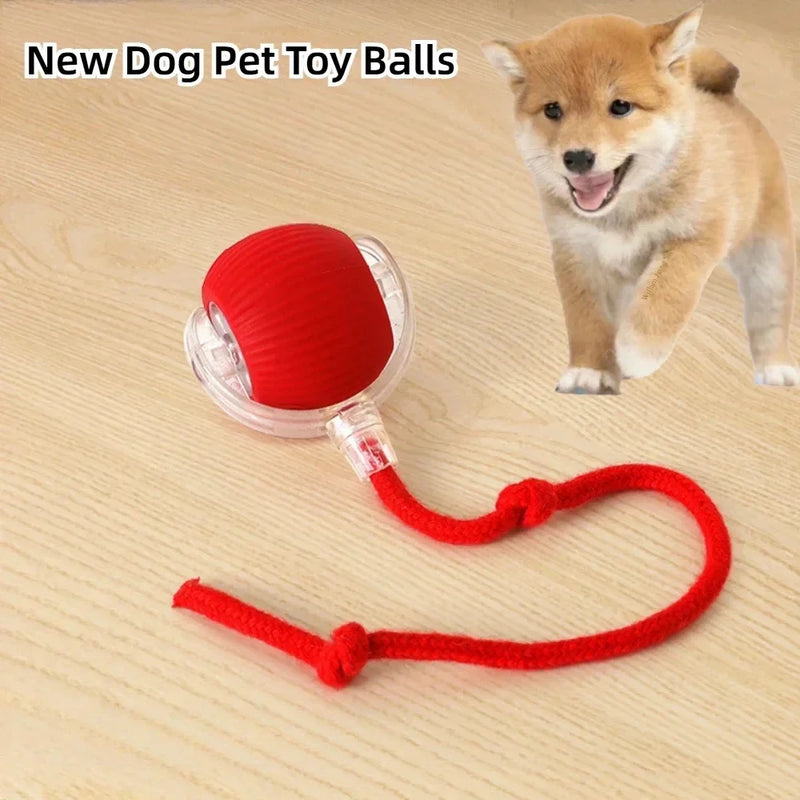 Brinquedo Interativo Bola Automática para Pets