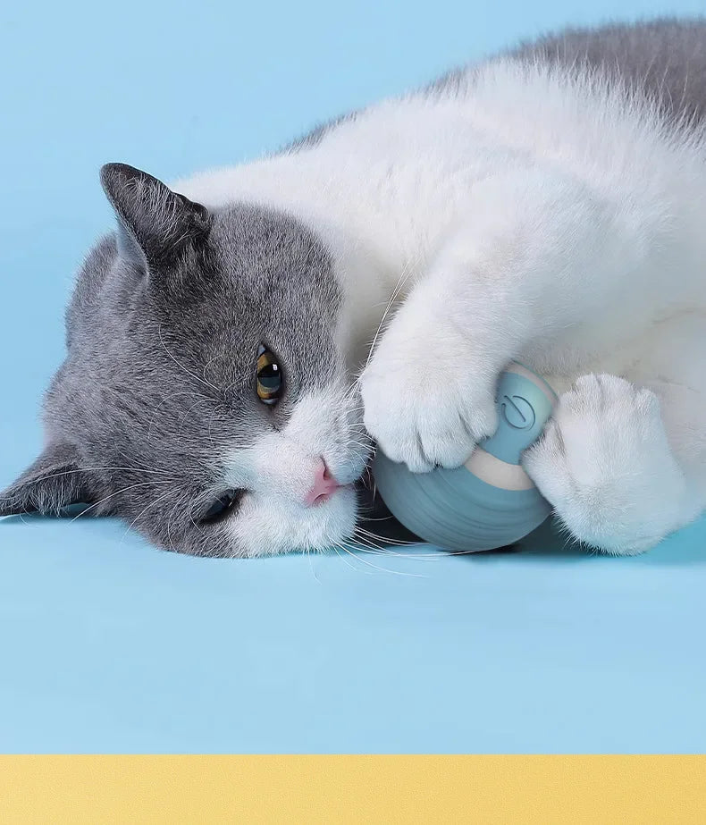 Brinquedo Interativo Bola USB para Gatos