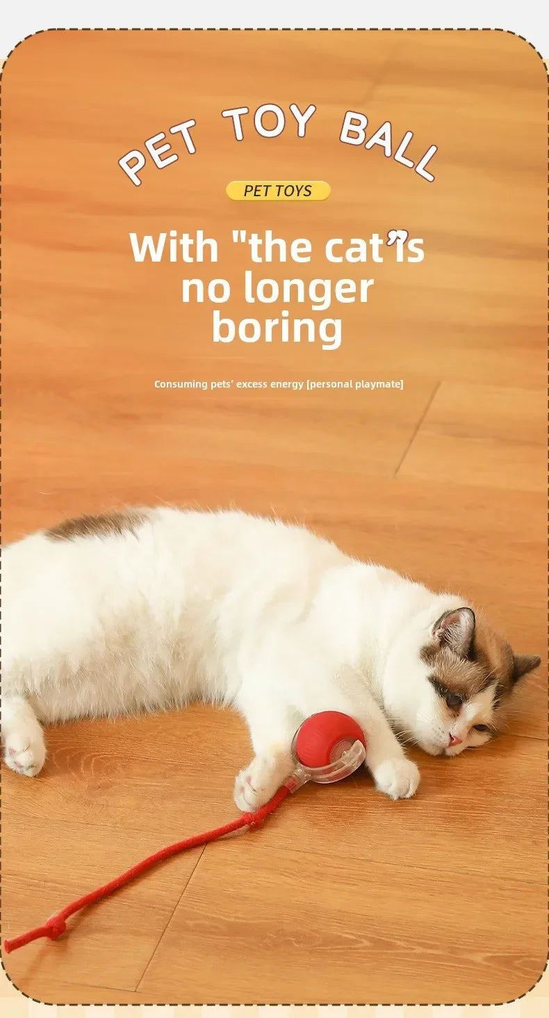 Brinquedo Interativo Bola Automática para Pets