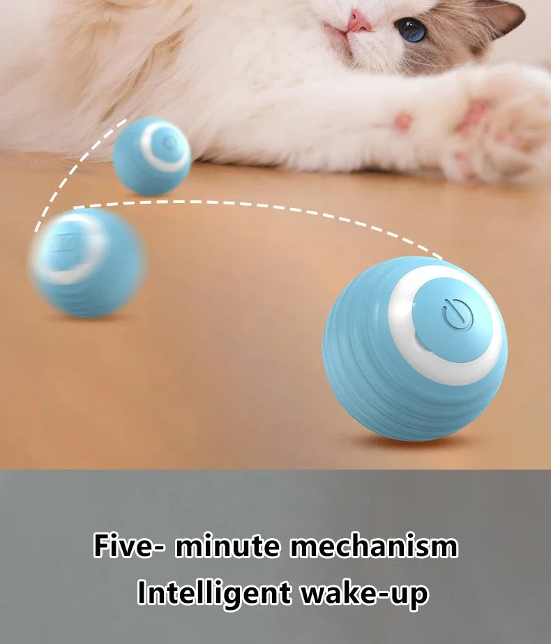 Brinquedo Interativo Bola USB para Gatos